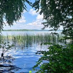 24-06-26 14-22-13 9939